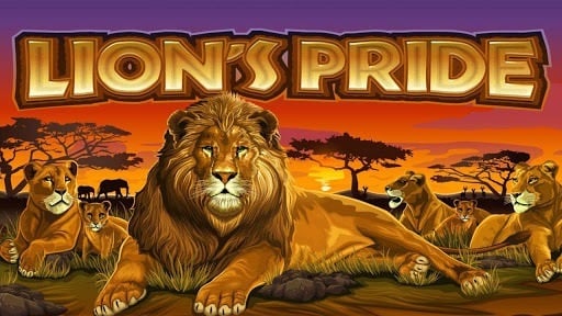 Lions Pride splash screen