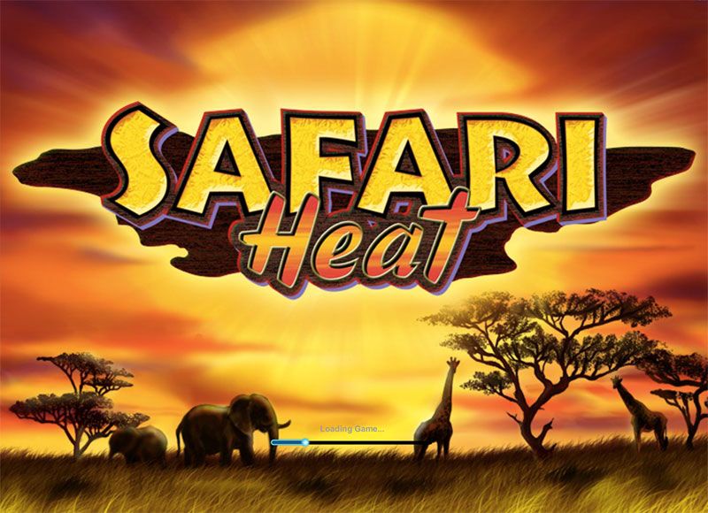 Safari Heat splash screen