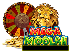 What Is Mega Moolah?