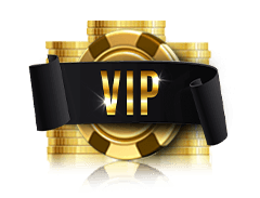 The Best Top-Tier VIP Benefits