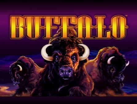 Buffalo splash screen