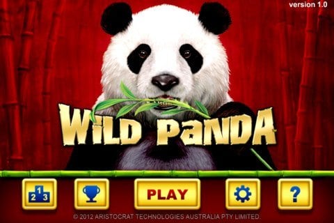 Wild Panda splash screen